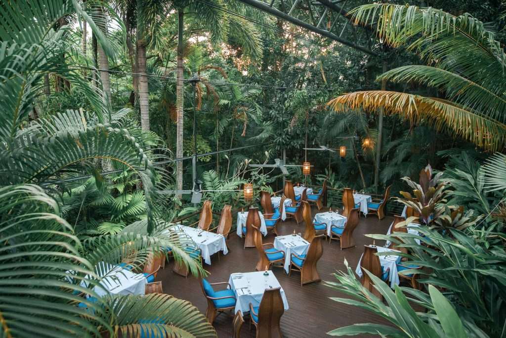 Dining tables set amongst lush tropical gardens