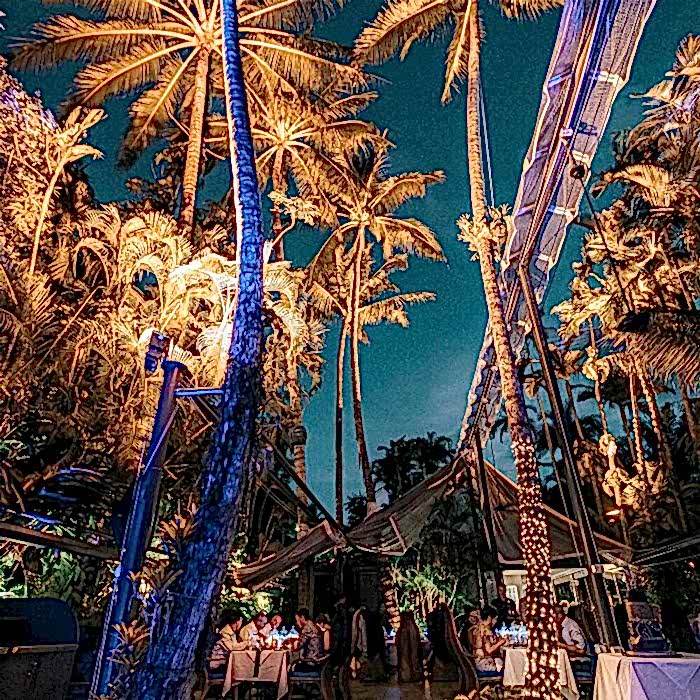 Nautilus Wedding Reception Courtyard 3