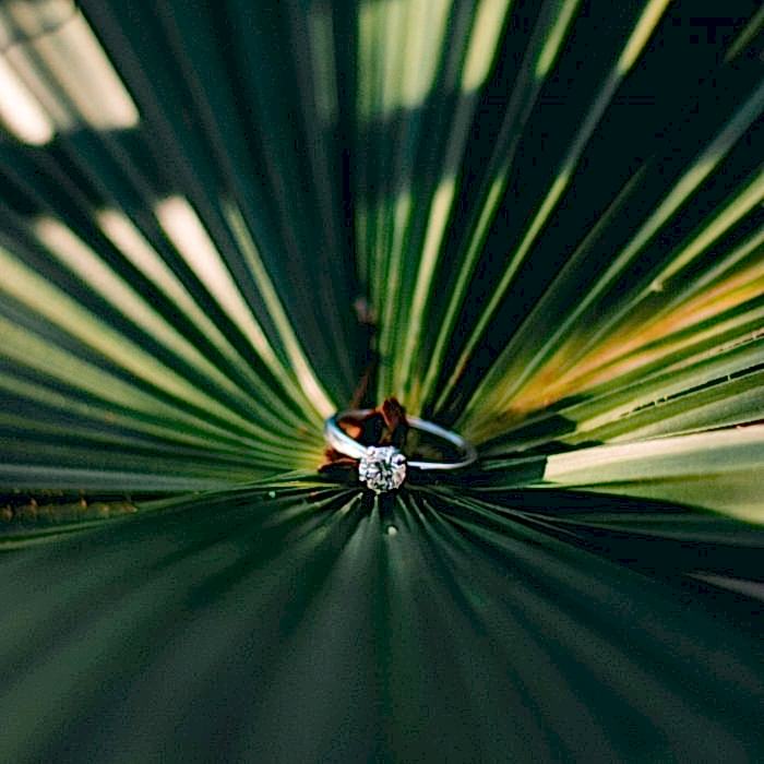 Wedding ring amid palm fronds